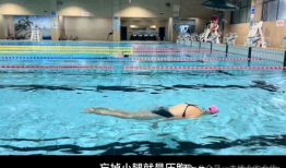 蝶泳视频,跟随视频学蝶泳